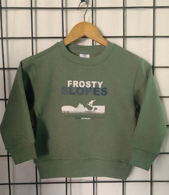 Boy's Printed Sweatshirt, "SNOW(E)SCAPE"